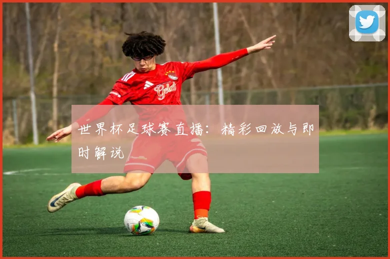 世界杯足球赛直播：精彩回放与即时解说